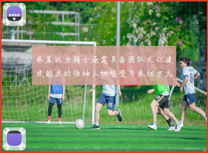 弗莱认为骑士亟需具备团队文化建设能力的领袖人物哈登与米切尔无法胜任