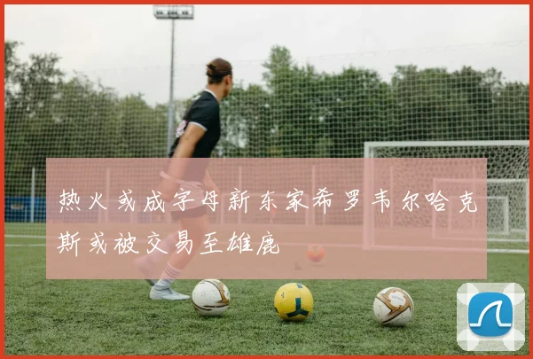 热火或成字母新东家希罗韦尔哈克斯或被交易至雄鹿
