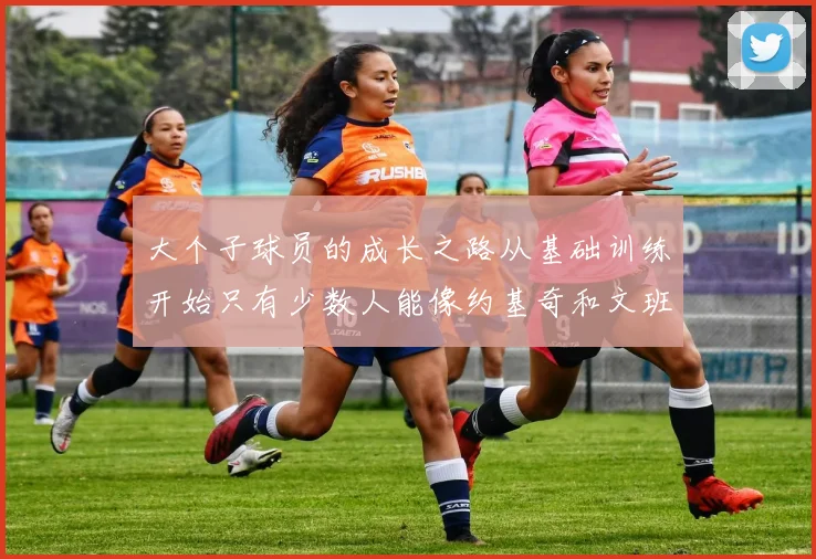 大个子球员的成长之路从基础训练开始只有少数人能像约基奇和文班那样成功